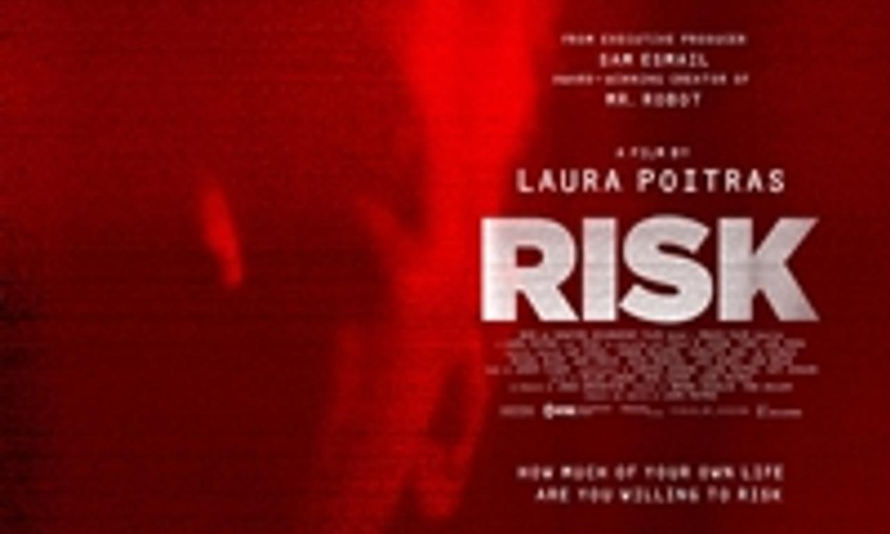 header image for Risk