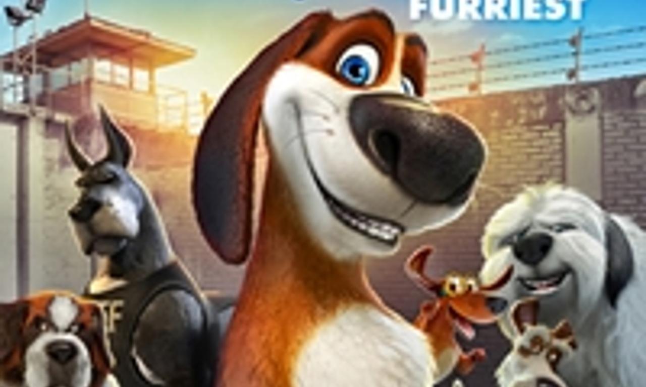 header image for Ozzy