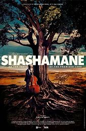 Shashamane