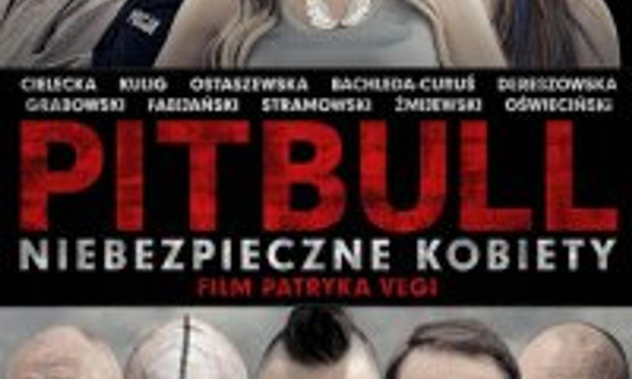 header image for Pitbull: Tough Women