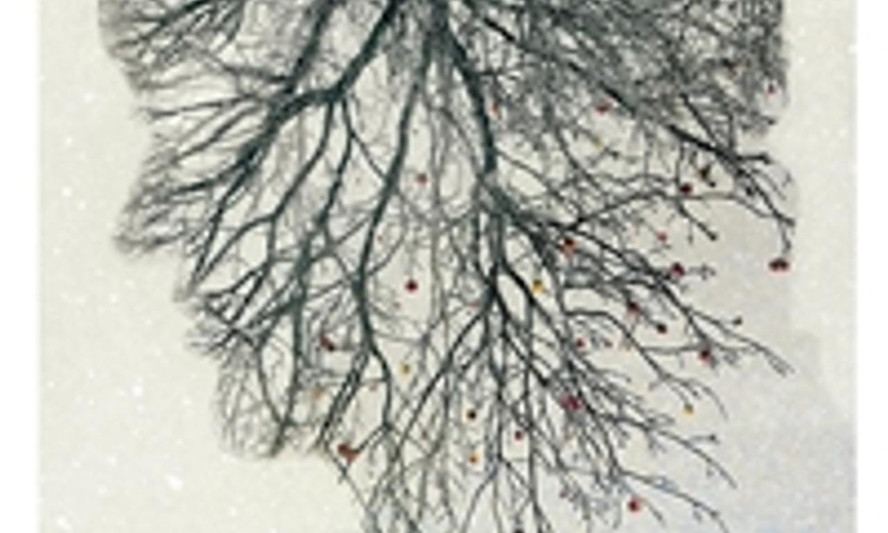 header image for God Knows Where I Am