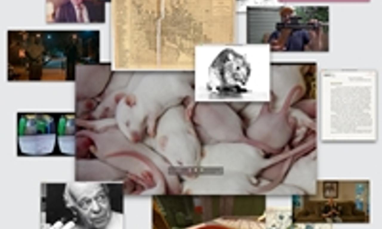 header image for Rat Film