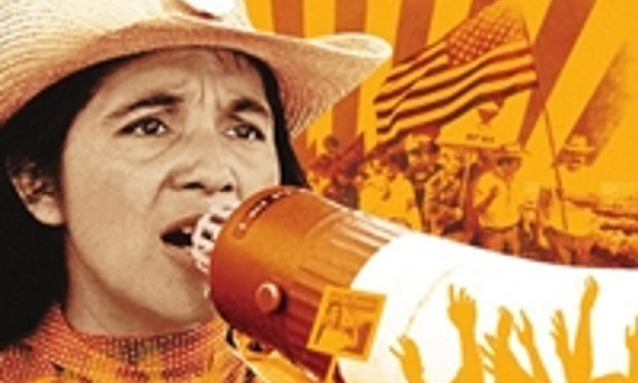 header image for Dolores