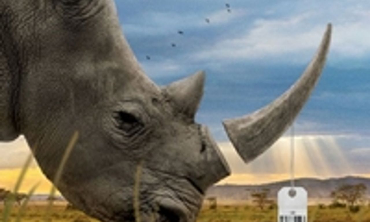 header image for Trophy