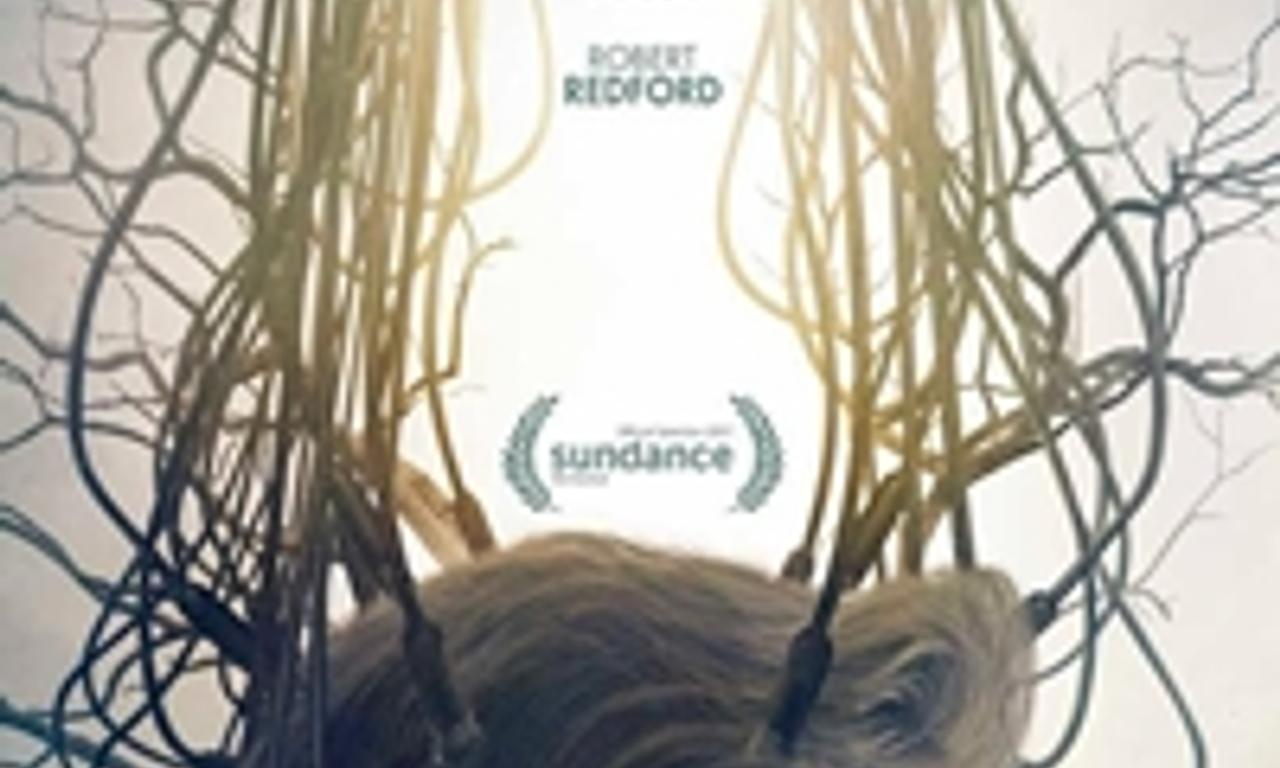 header image for The Discovery