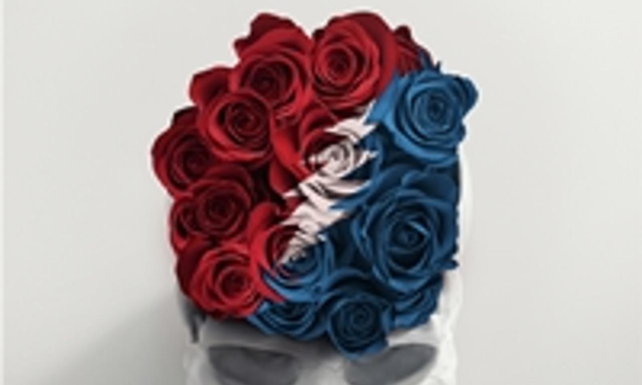 header image for Long Strange Trip