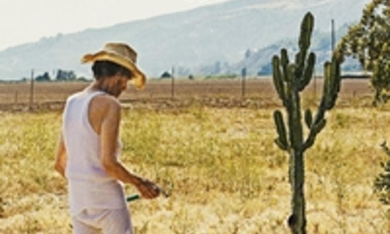 header image for Lucky