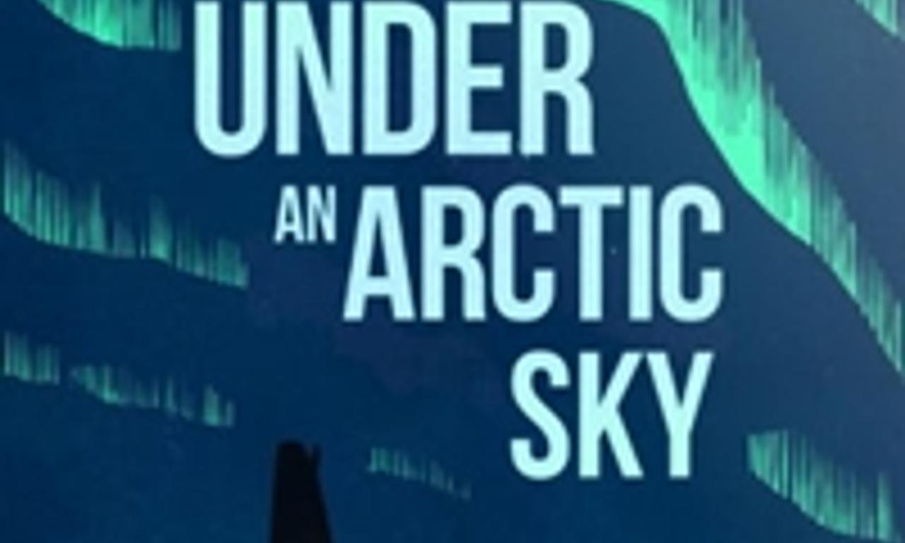 header image for Under an Arctic Sky