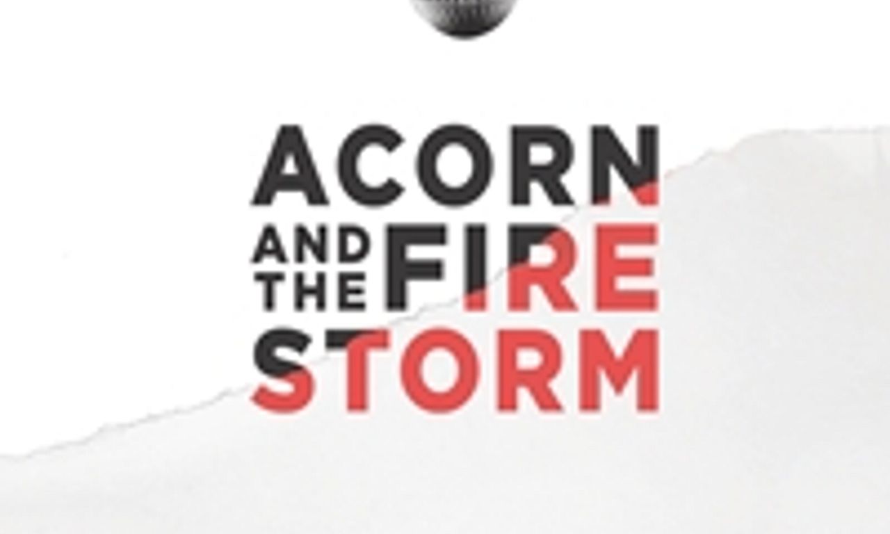 header image for Acorn and the Firestorm
