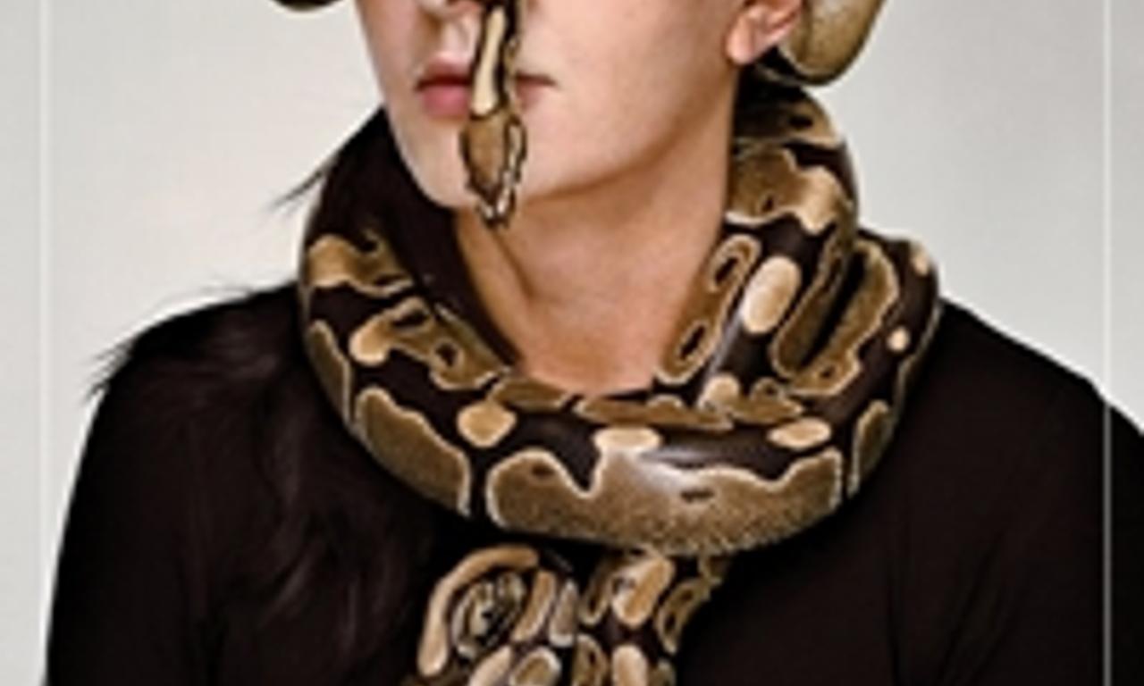 header image for Blurred Lines: Inside the Art World