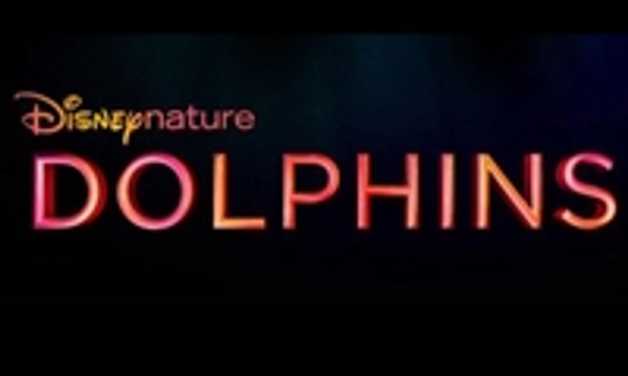 header image for Dolphin Reef