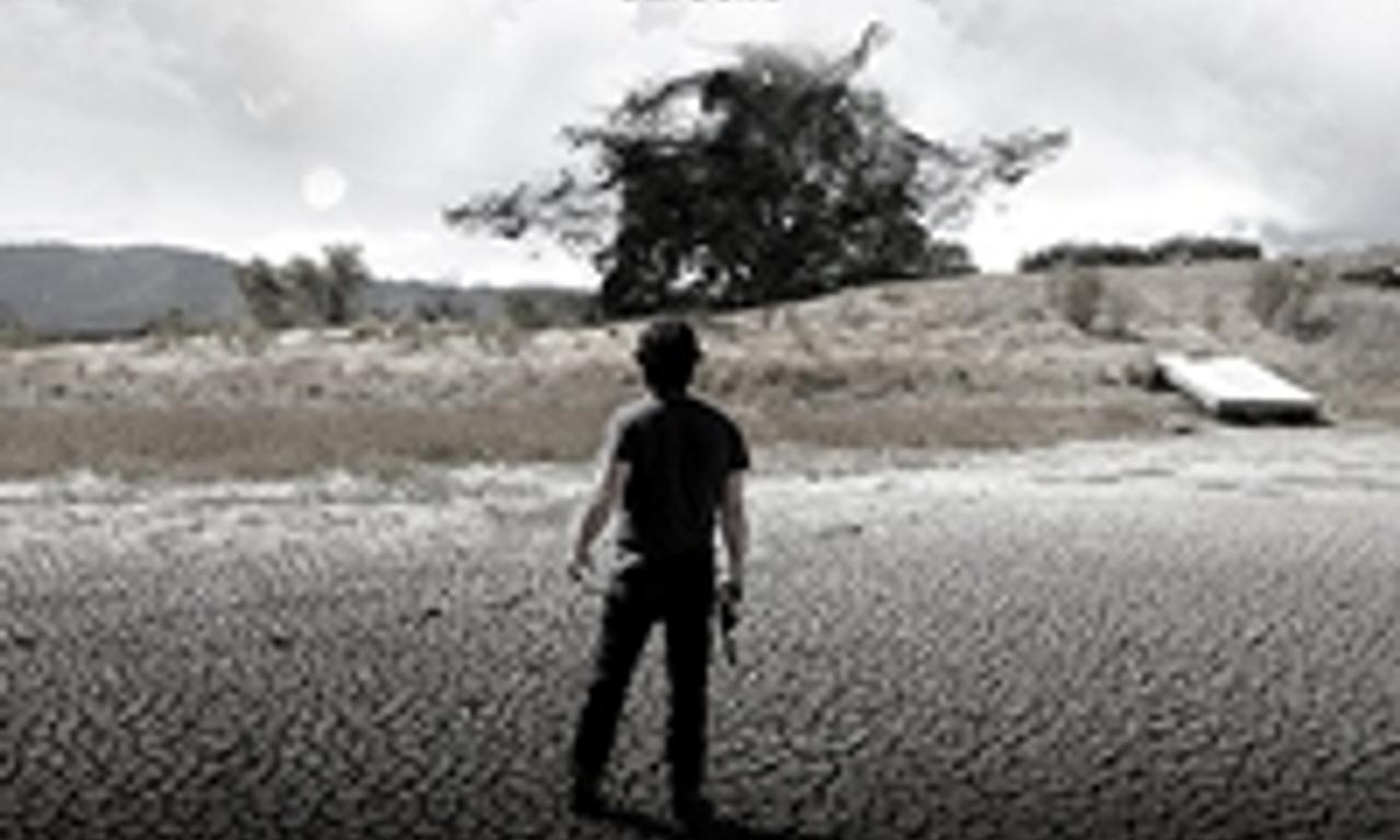 header image for The Lost Tree