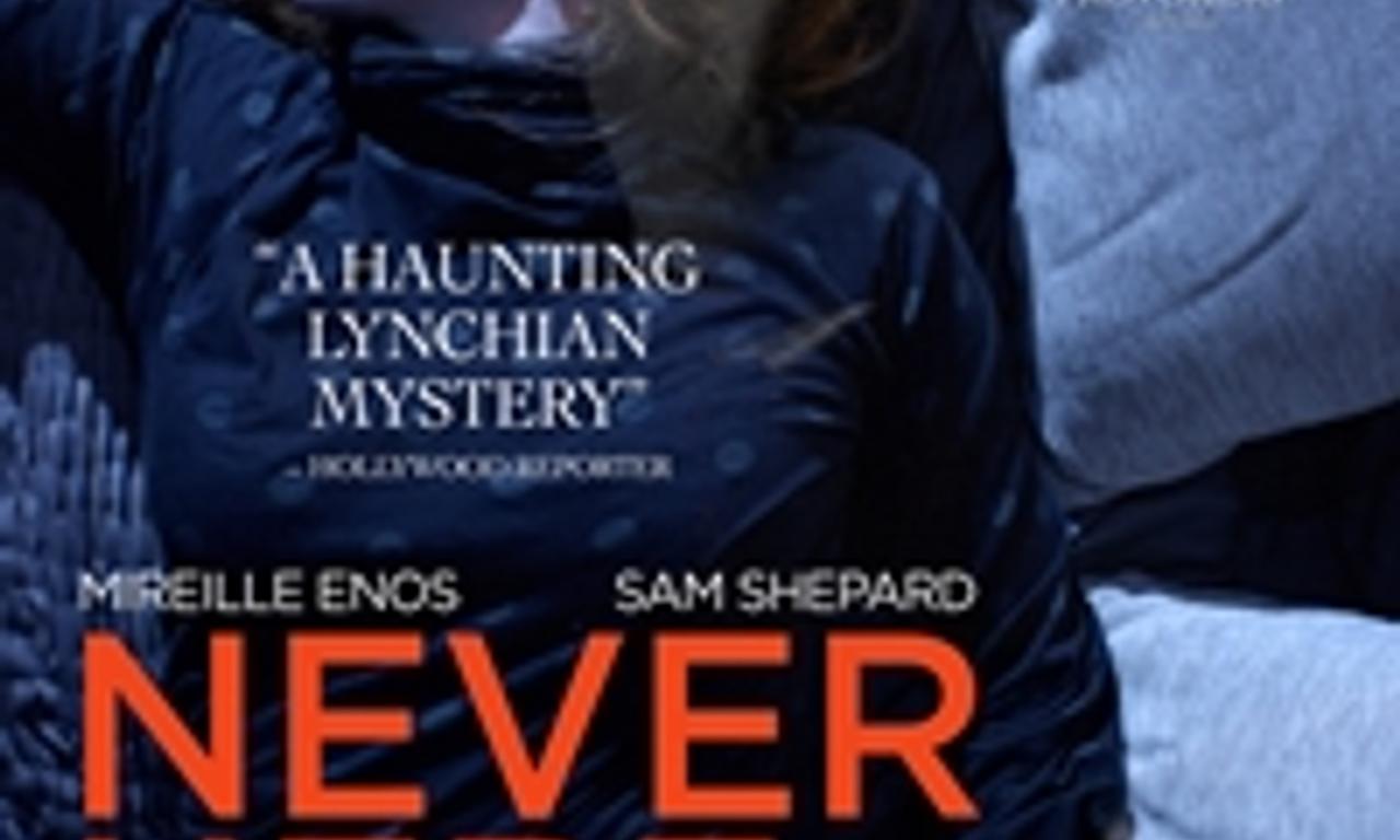 header image for Never Here