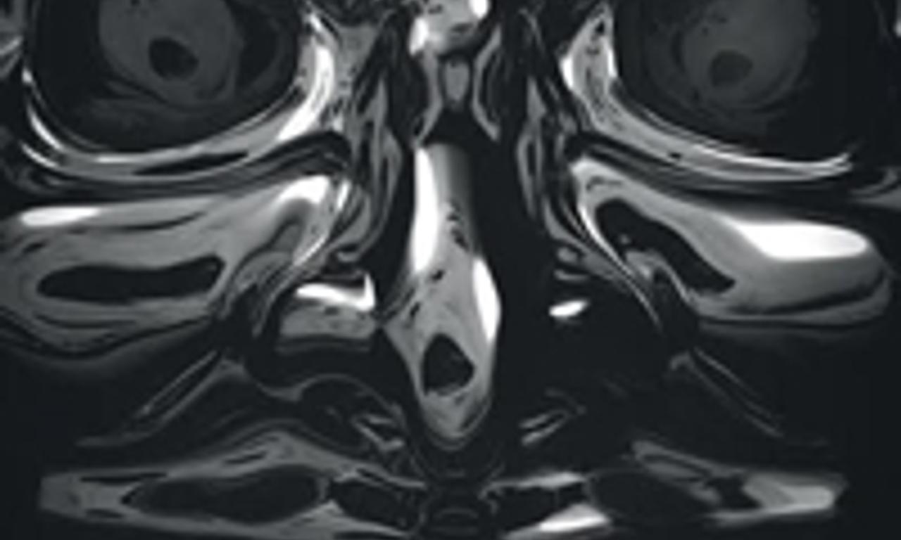 header image for Dementia 13