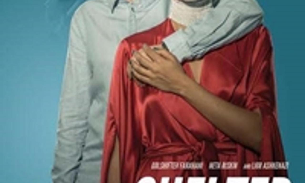 header image for Shelter