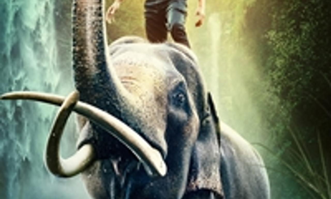 header image for Junglee