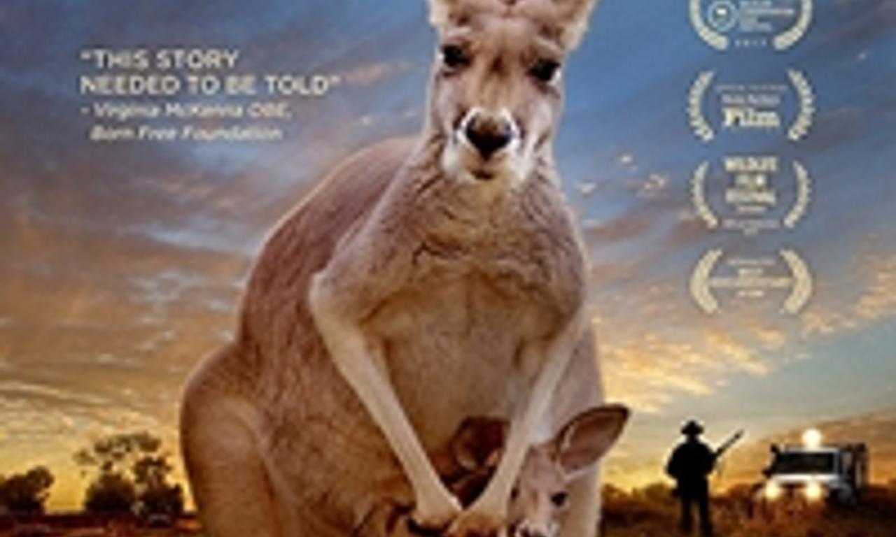 header image for Kangaroo