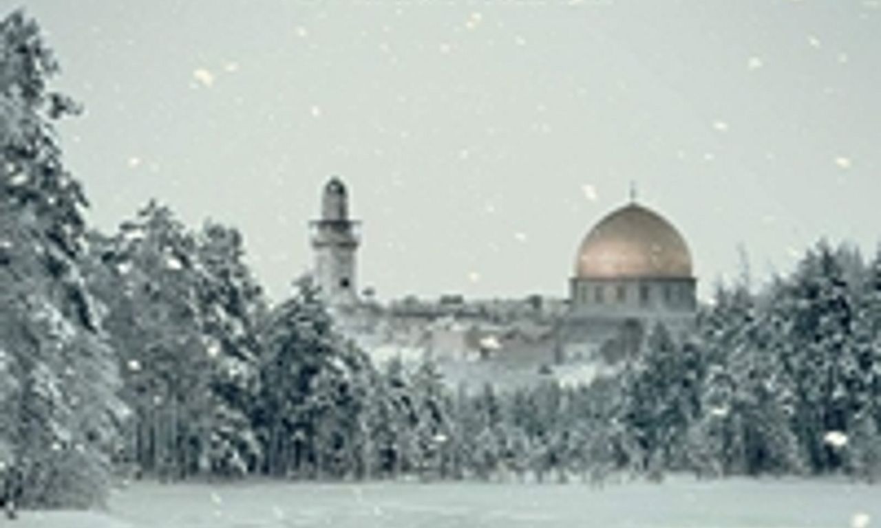 header image for The Oslo Diaries