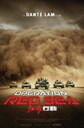 Operation Red Sea