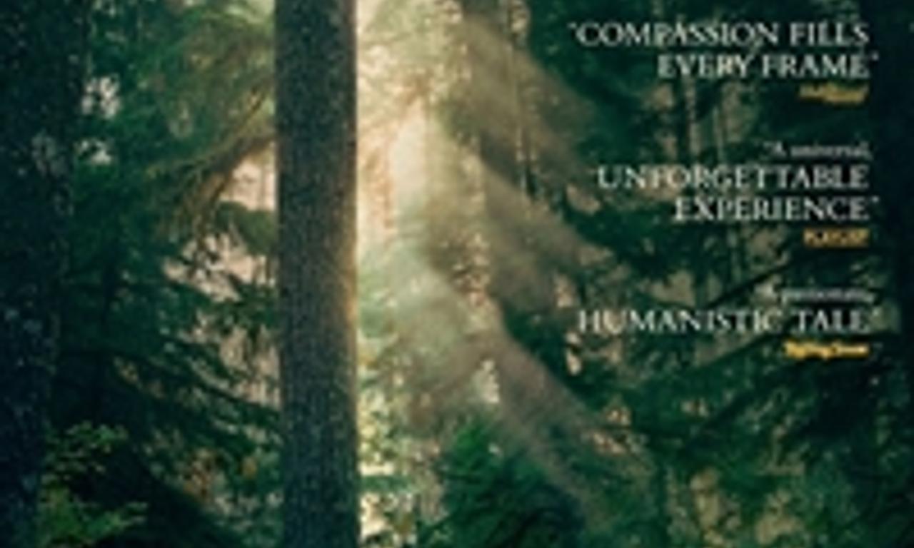 header image for Leave No Trace