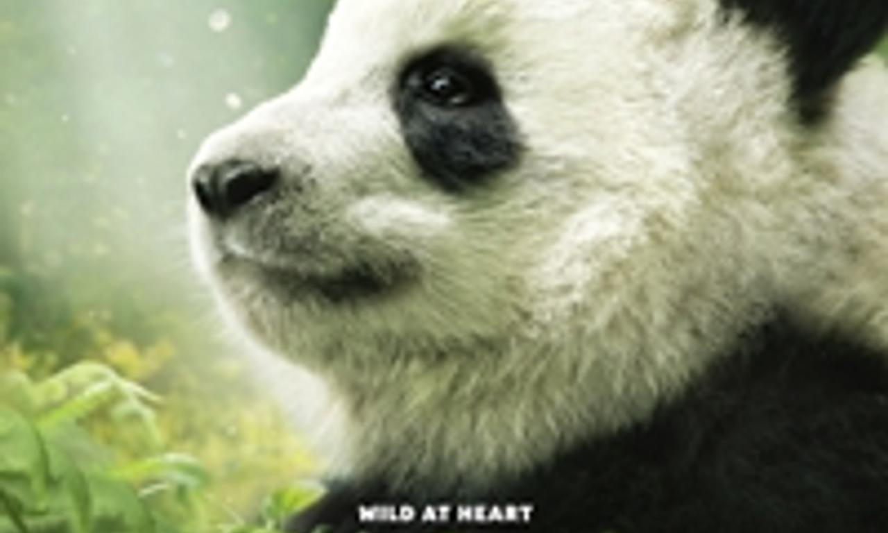 header image for Pandas