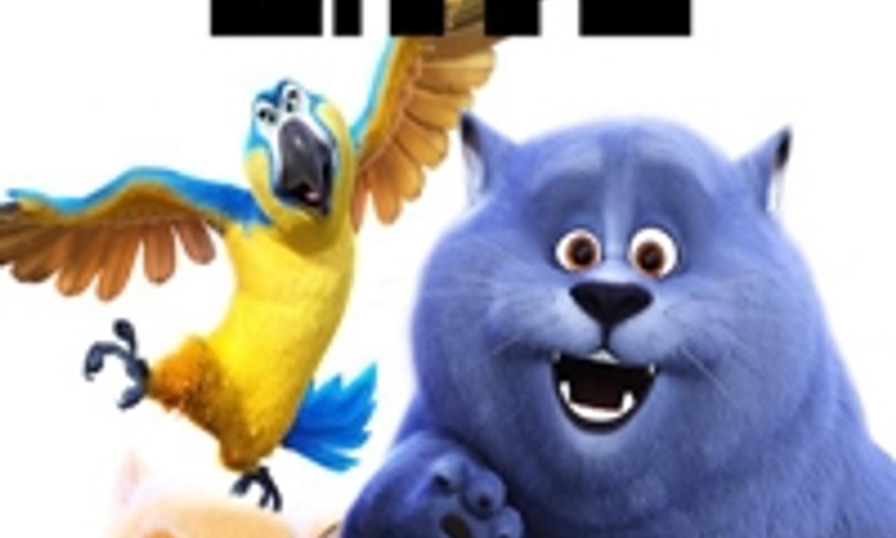 header image for Cats