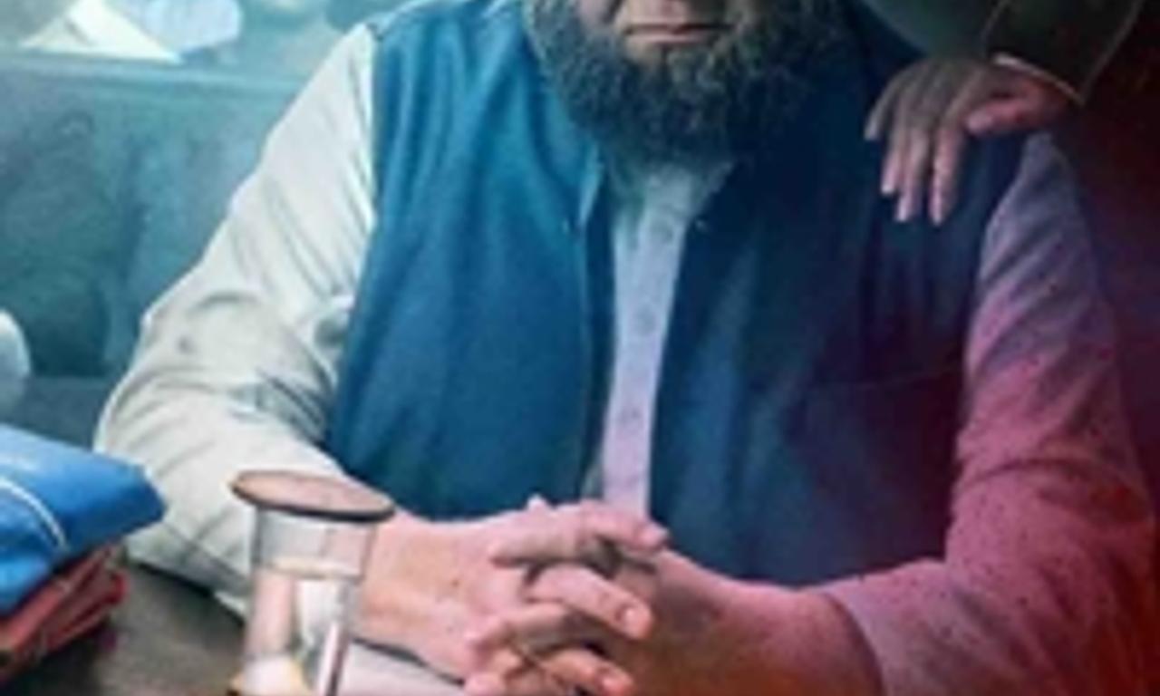 header image for Mulk