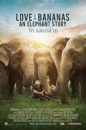 Love & Bananas: An Elephant Story