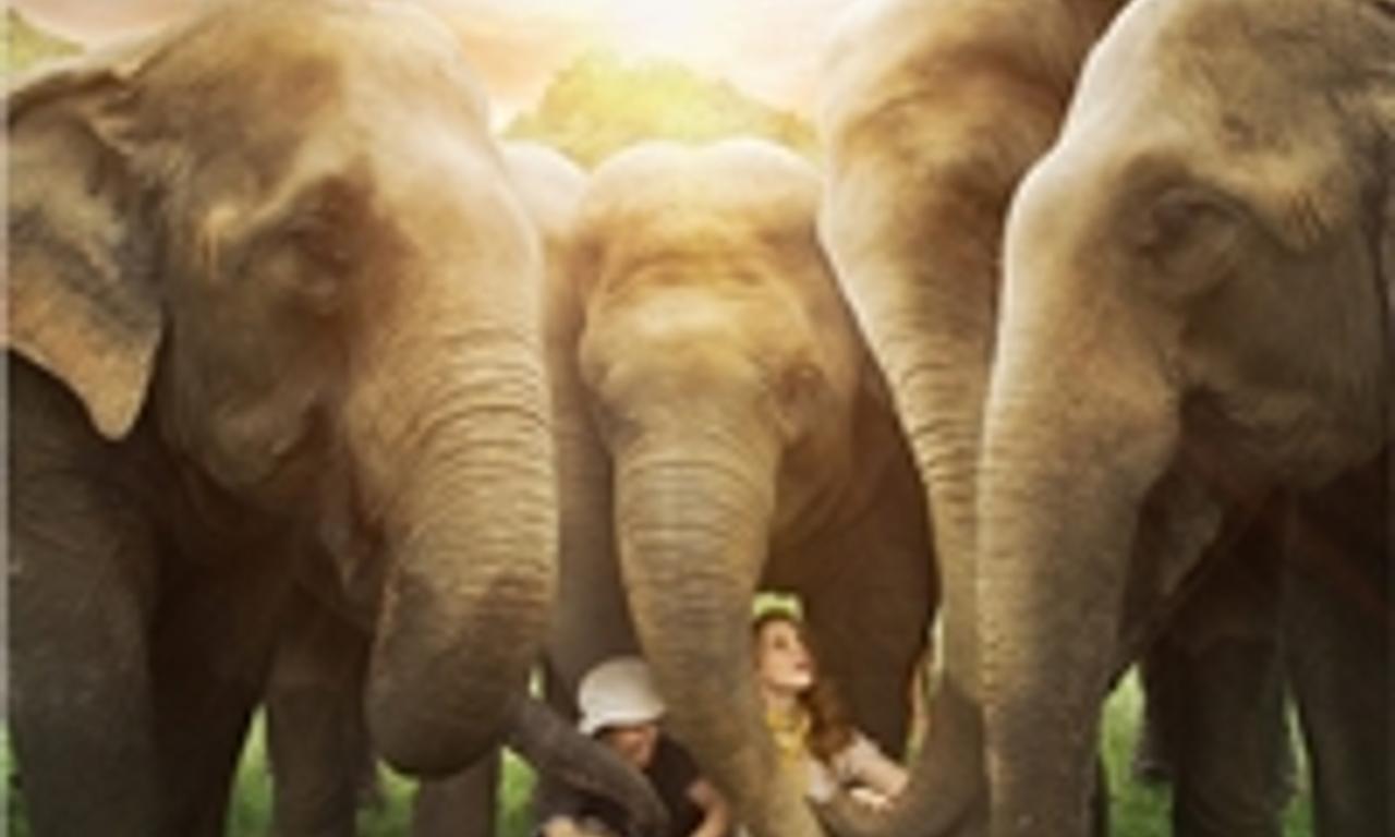 header image for Love & Bananas: An Elephant Story