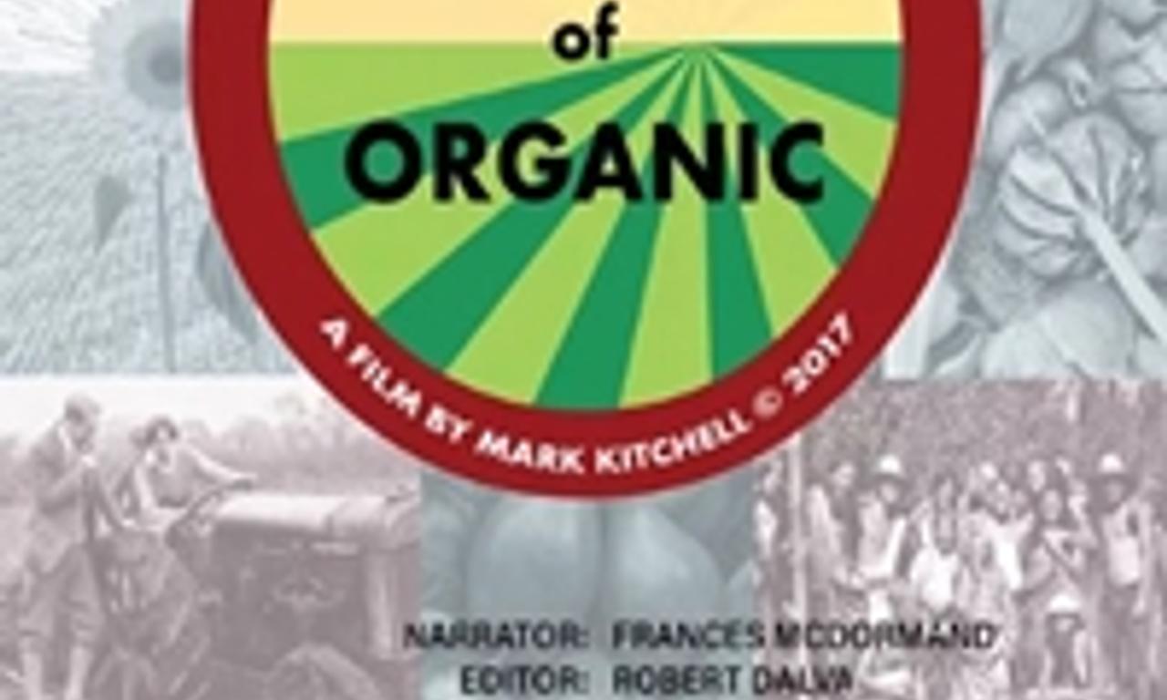 header image for Evolution of Organic