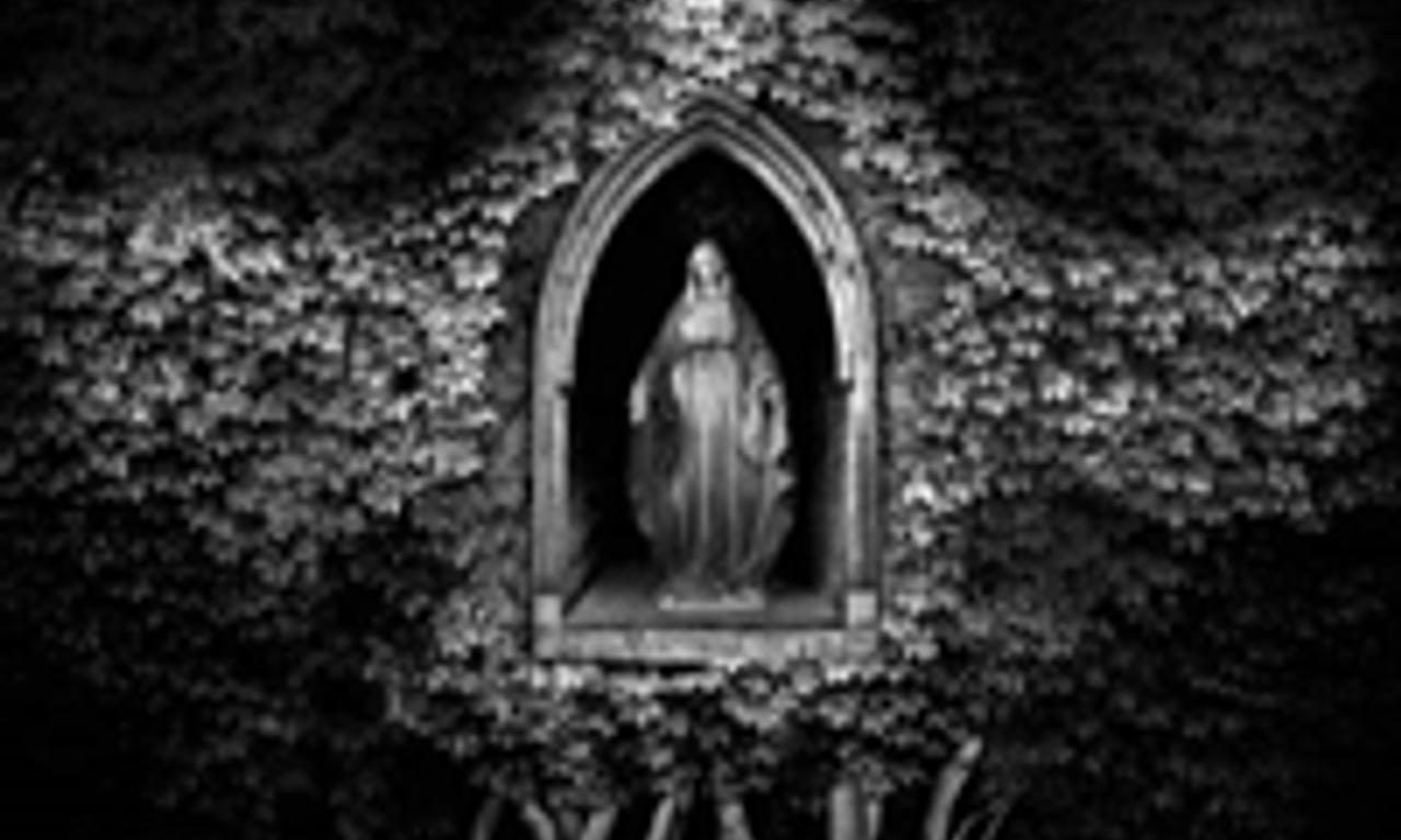 header image for Don’t Leave Home