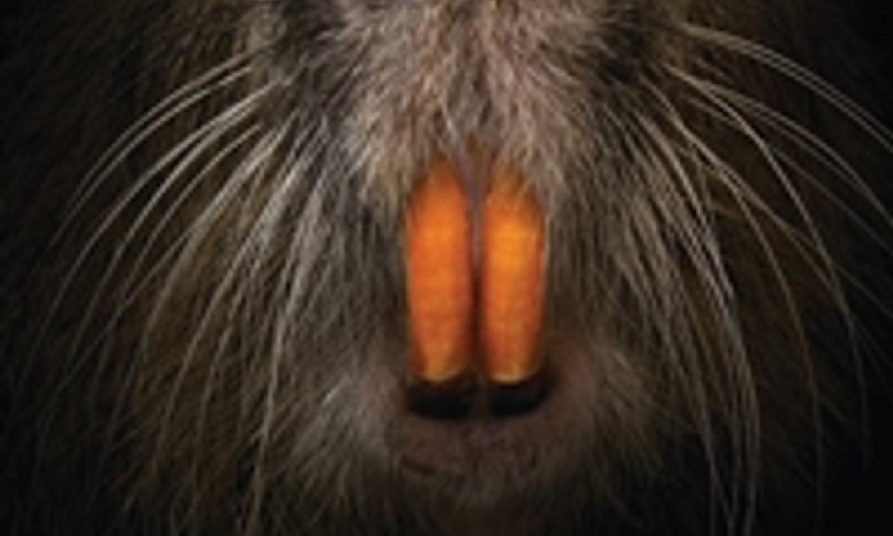 header image for Rodents of Unusual Size