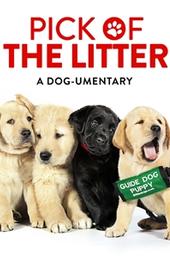 Pick of the Litter