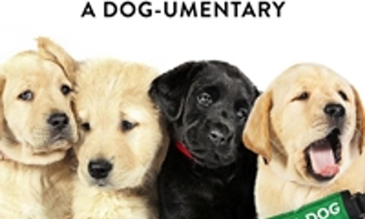 header image for Pick of the Litter