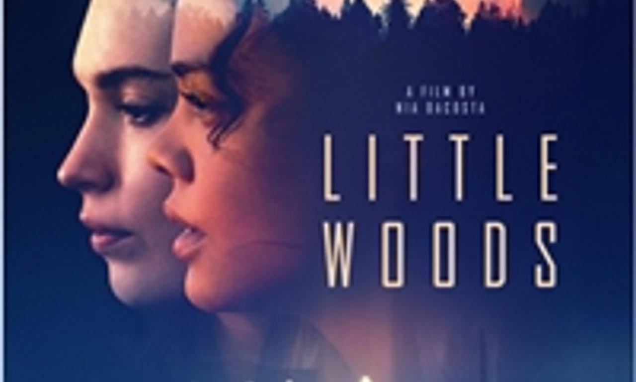 header image for Little Woods