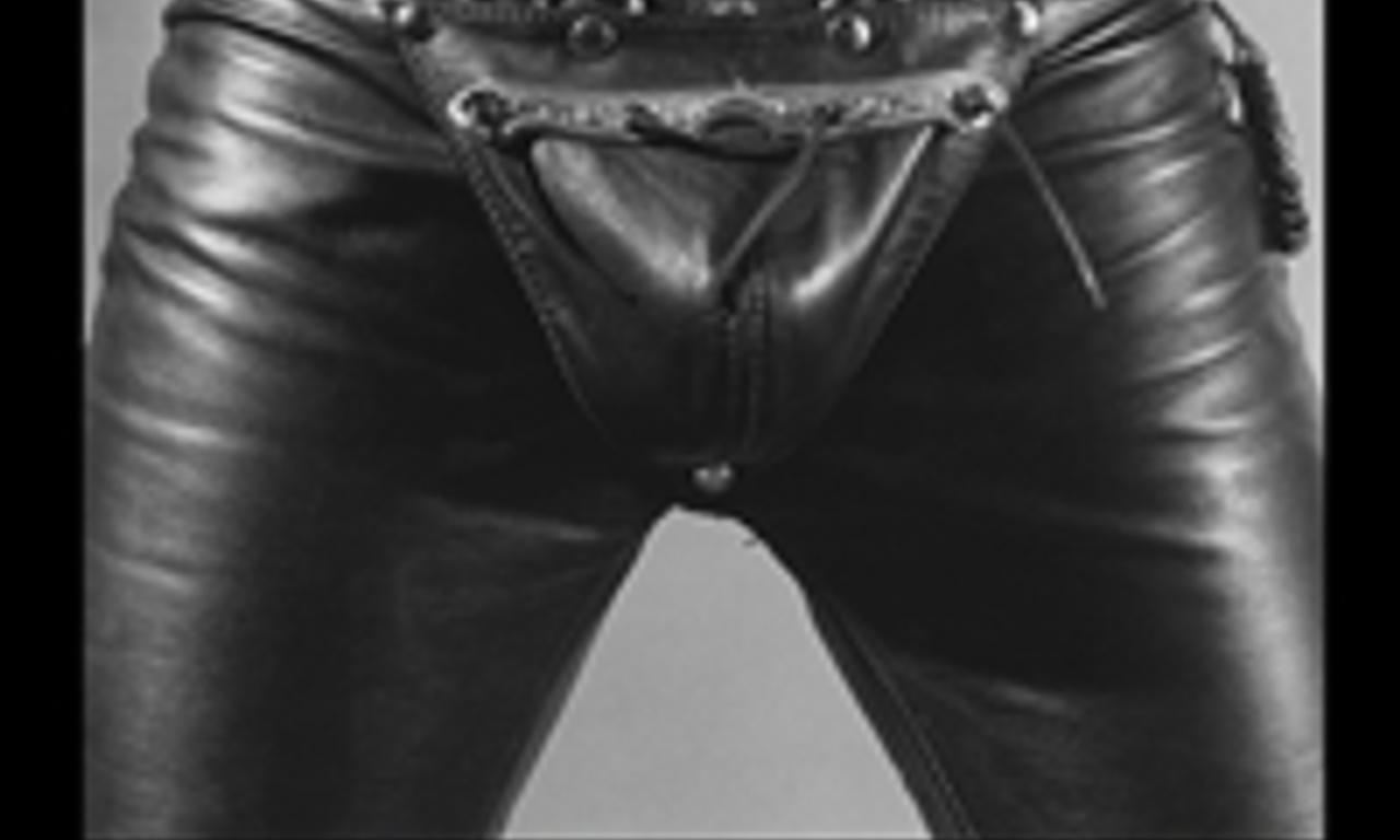 header image for Mapplethorpe