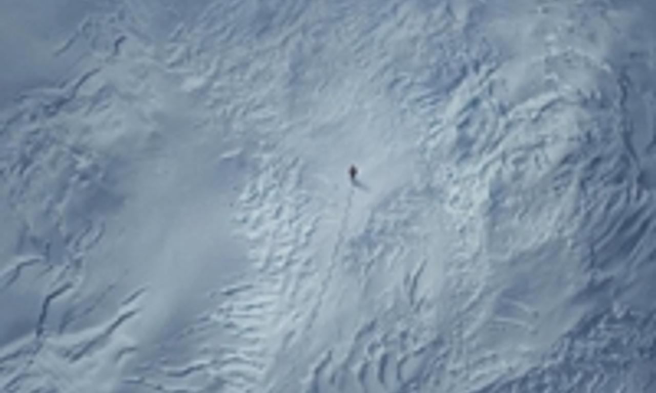 header image for Arctic