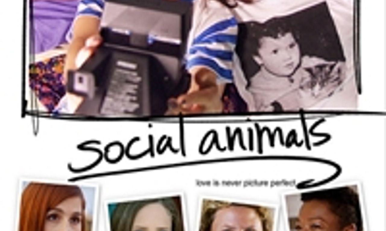 header image for Social Animals