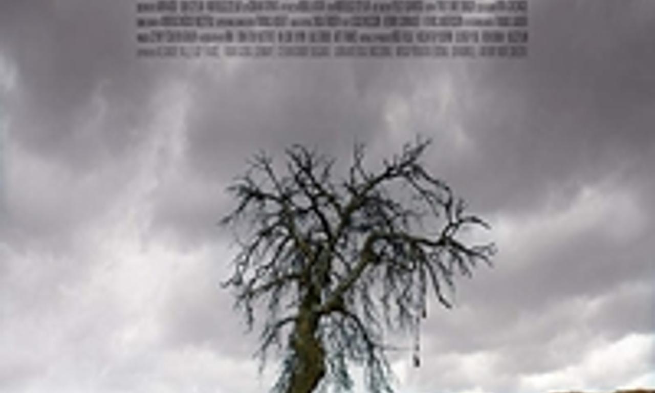 header image for The Wild Pear Tree