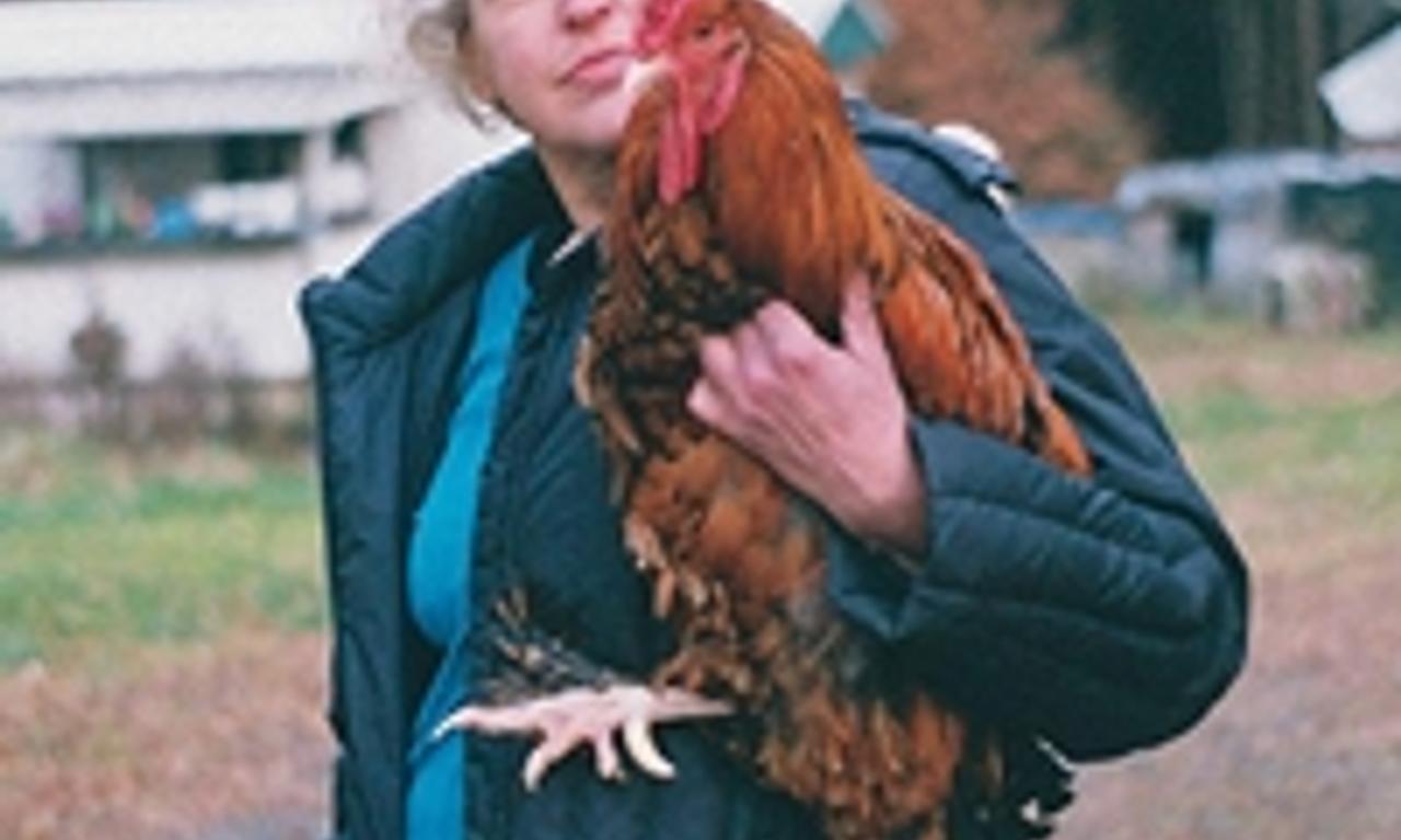 header image for For the Birds