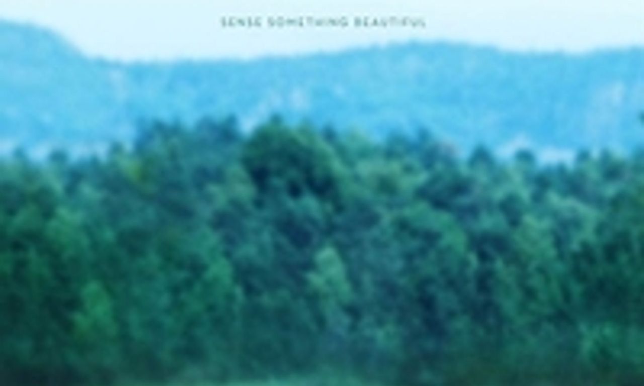 header image for Border