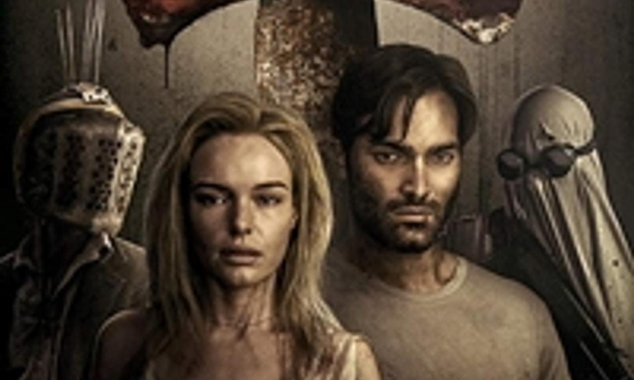 header image for The Domestics