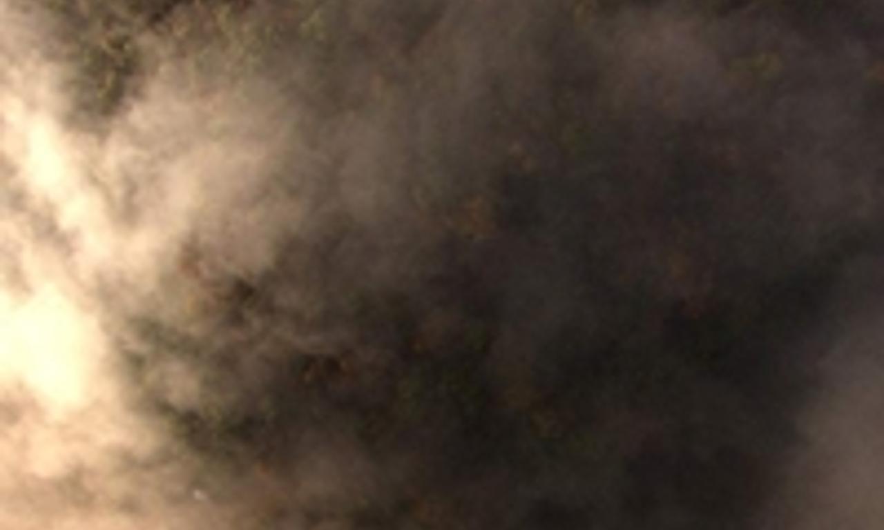 header image for Hillbilly