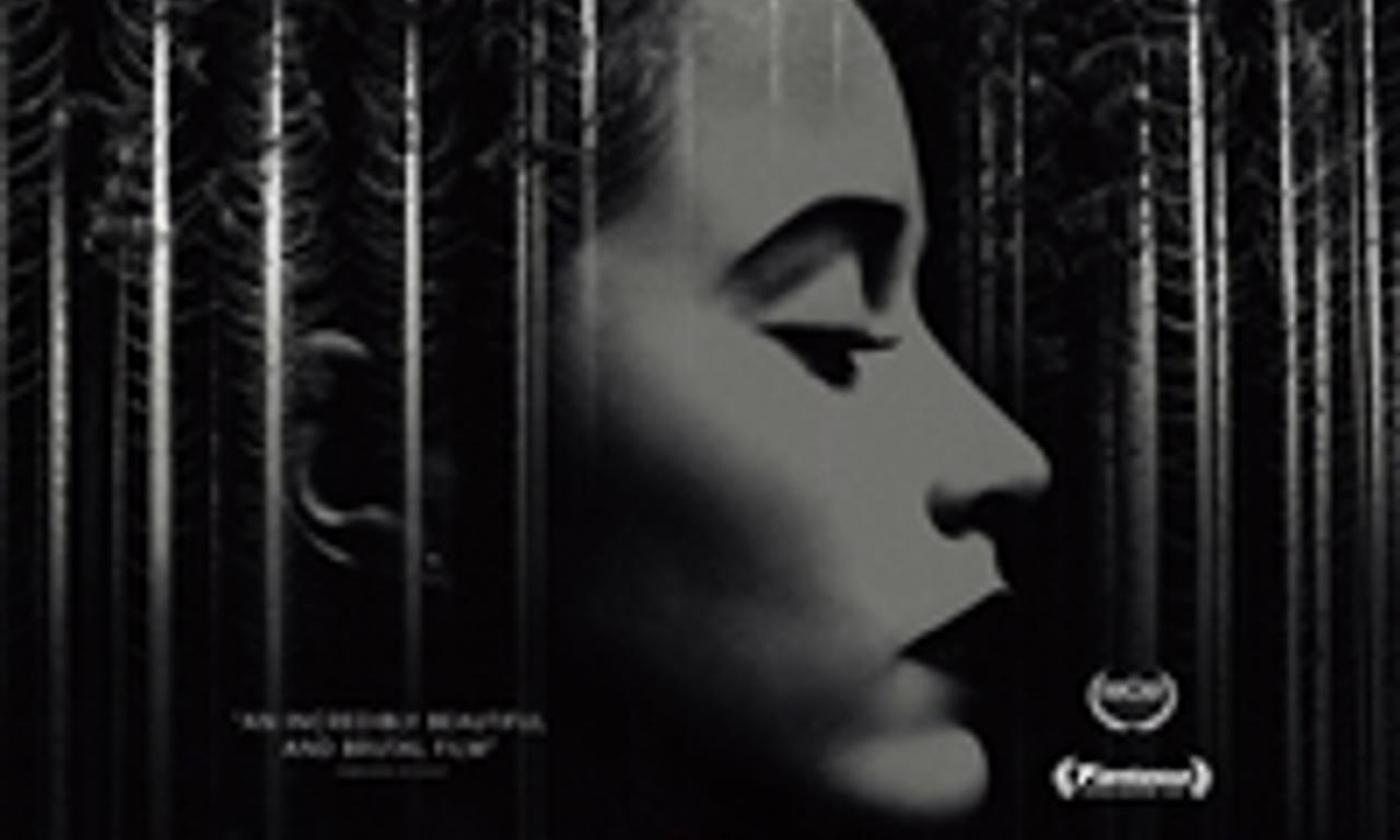 header image for What Keeps You Alive