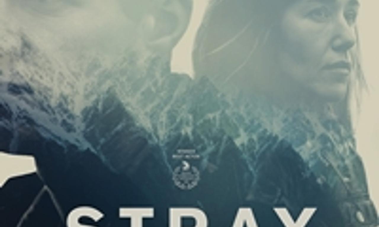 header image for Stray