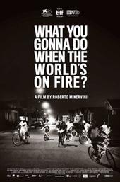 What You Gonna Do When the World's on Fire?