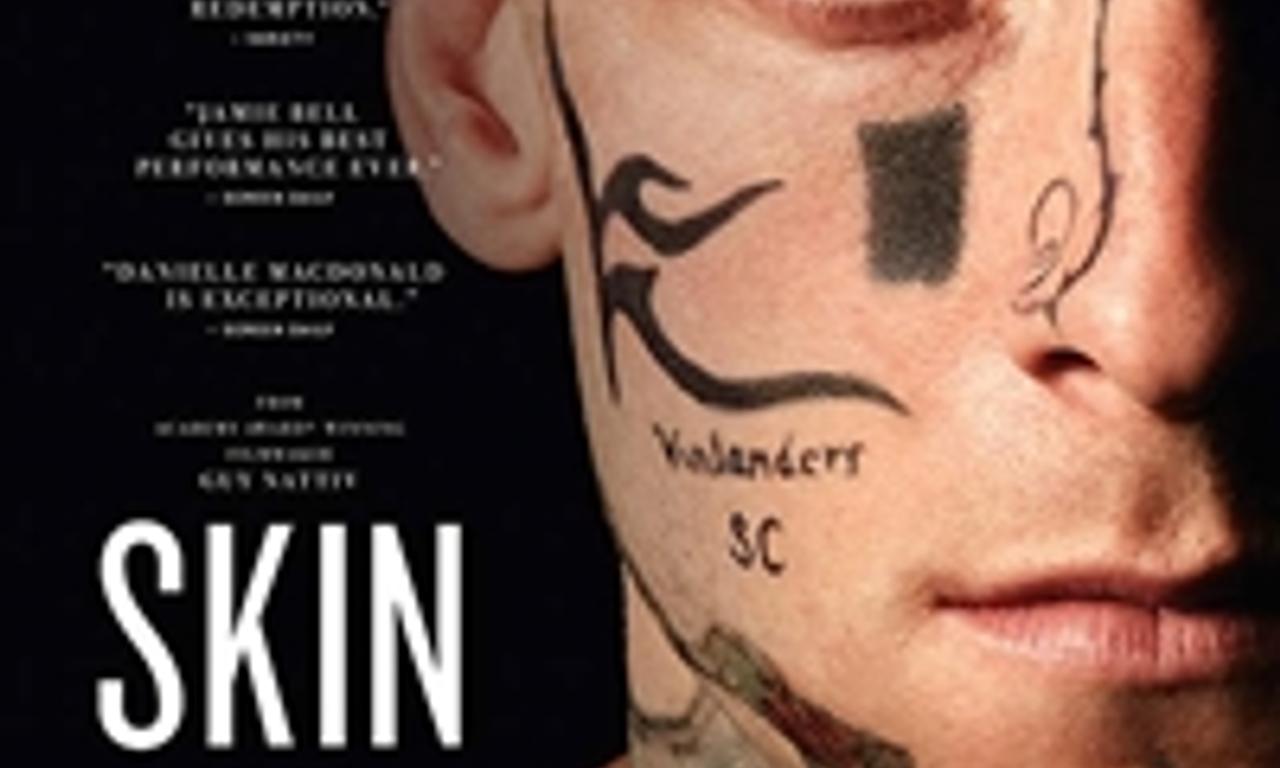 header image for Skin