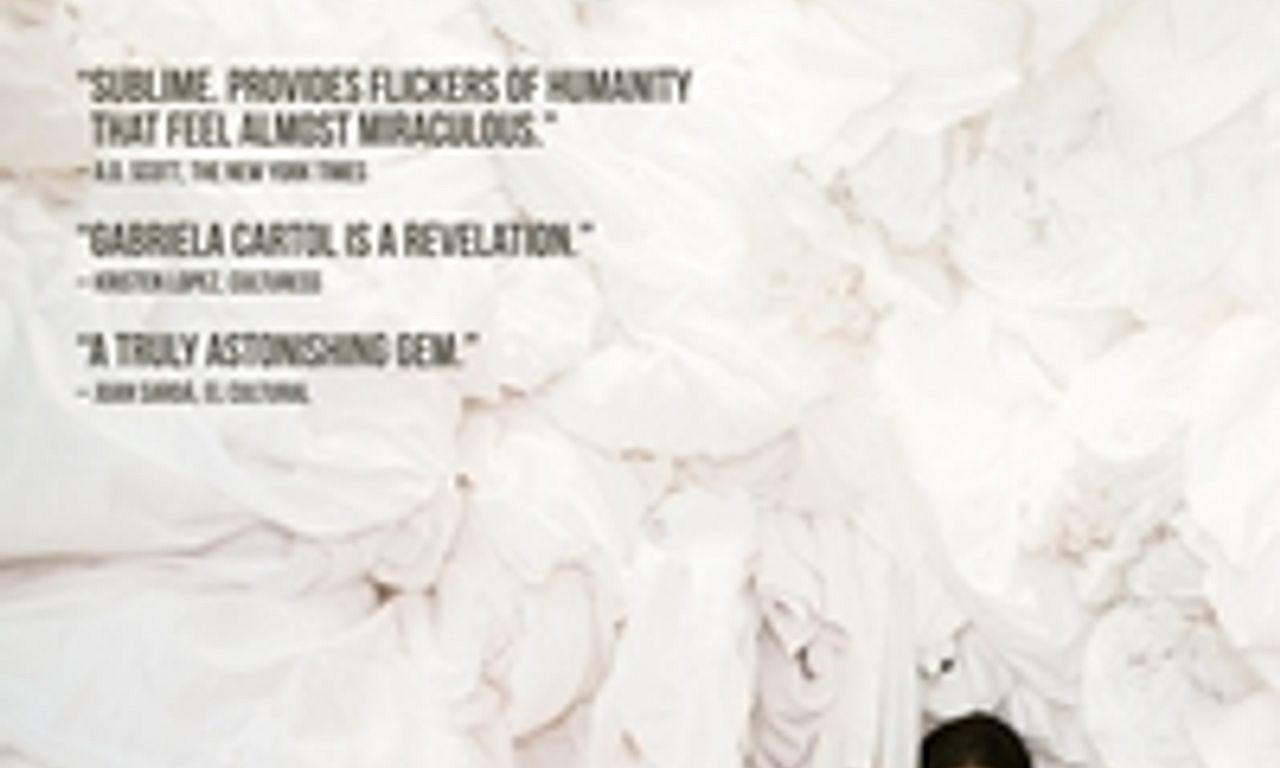 header image for The Chambermaid