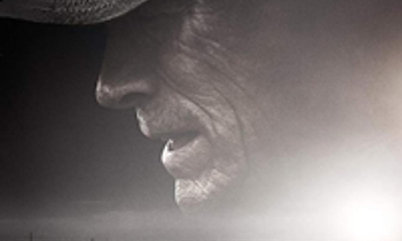 header image for The Mule