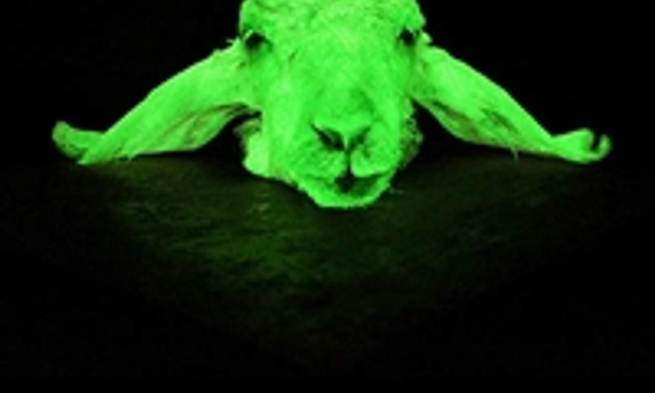 header image for Mithai